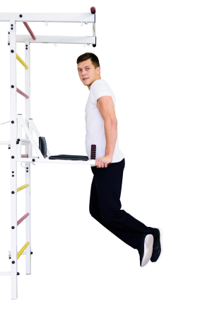 Шведская стенка Trainer Home Стандарт